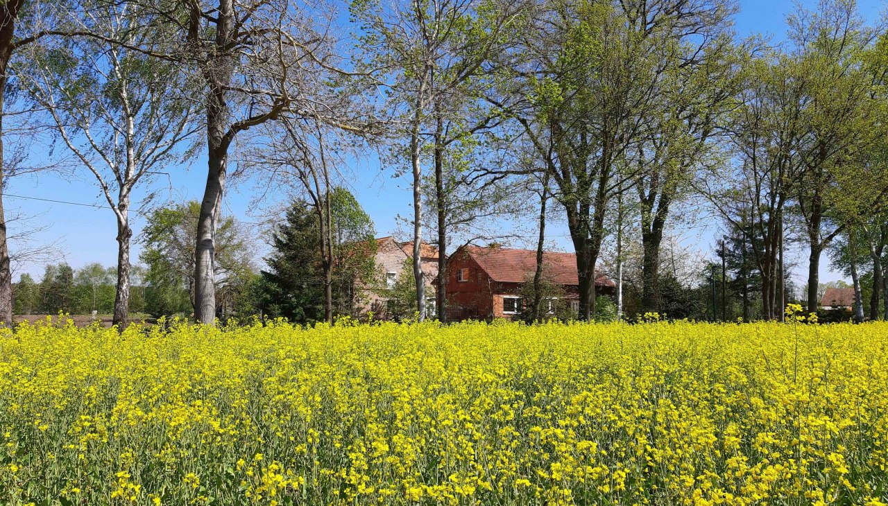 LüttenHof-Retreat, © Tanja von Heintze LüttenHof-Retreat, © Tanja von Heintze