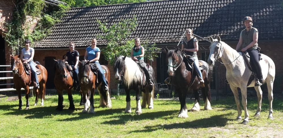 Pferd & Ross - herzlich willkommen auf dem Bio Erlebnishof Grittel // © Bio Erlebnishof Grittel/ Nicole Albs Pferd & Ross - herzlich willkommen auf dem Bio Erlebnishof Grittel // © Bio Erlebnishof Grittel/ Nicole Albs