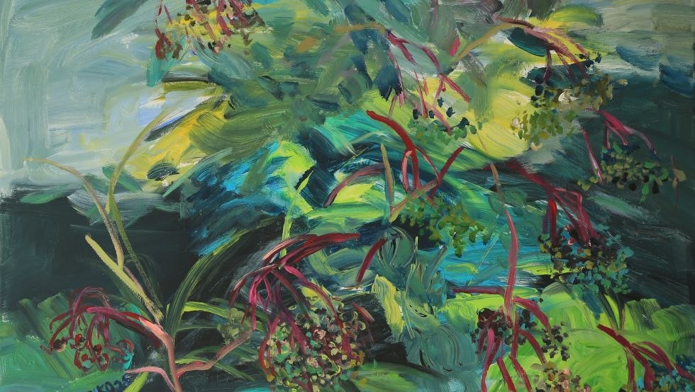 Holunder, &copy; Erika Hartung