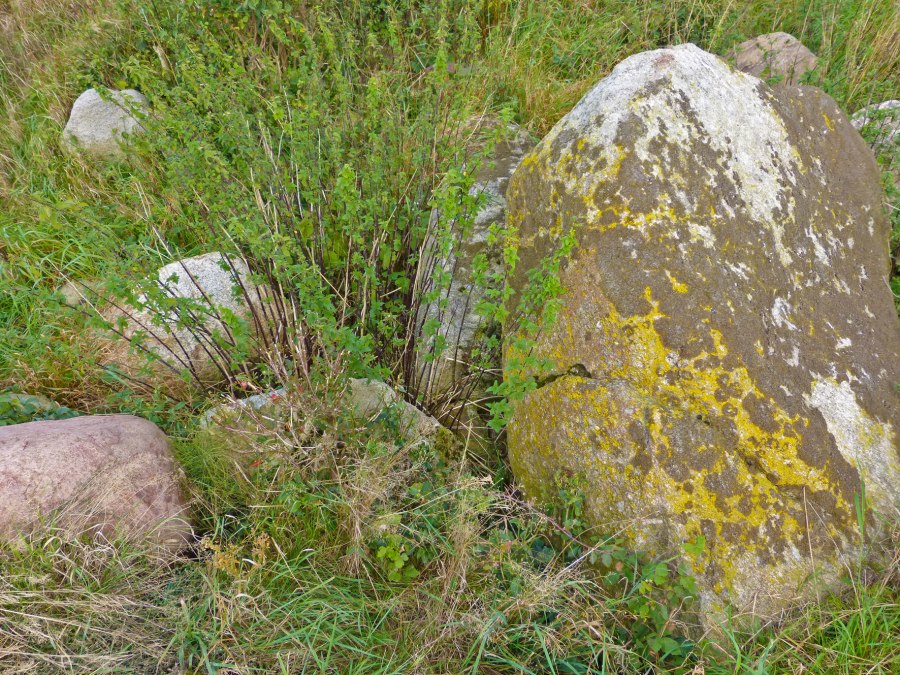 Die Reste eines jungsteinzeitlichen Grosssteingrabes bei Seelvitz, &copy; Arch&auml;o Tour R&uuml;gen