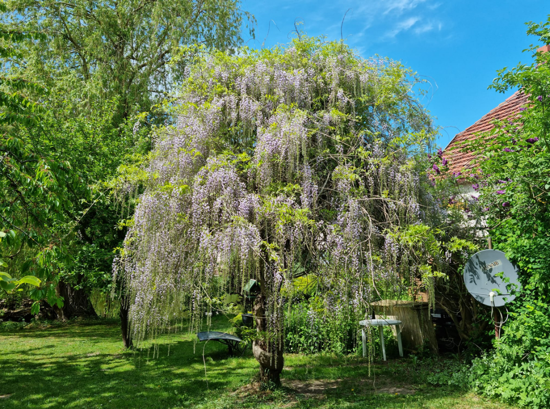 © Hofcafé Görzhausen © Hofcafé Görzhausen