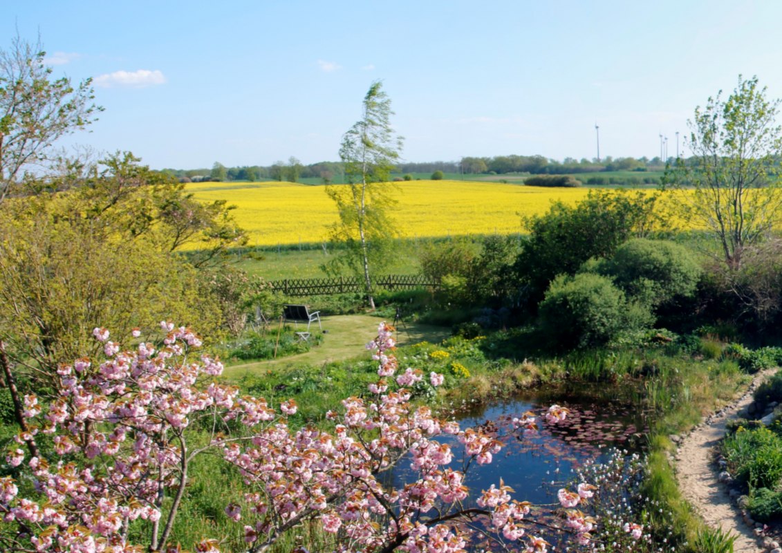 Lente - met koolzaadbloesem in mei // &copy; Claus Gering