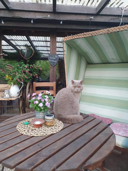 Ruhe finden, Natur sp&uuml;ren, neue Kraft tanken, &copy; Nussbaumhof MV