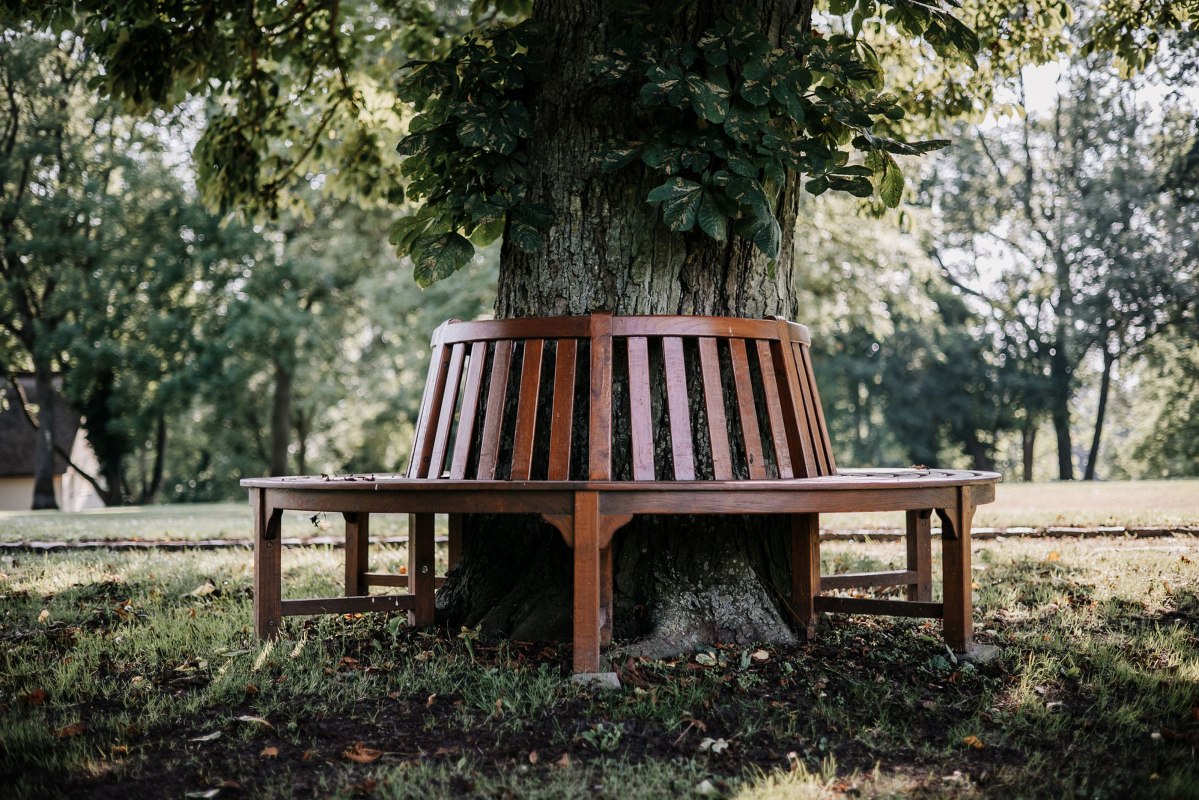 Gemütliche Plätze wie diese Baumbank findet ihr überall im Park und Gutshaus // © Gutshaus Gremmelin Gemütliche Plätze wie diese Baumbank findet ihr überall im Park und Gutshaus // © Gutshaus Gremmelin