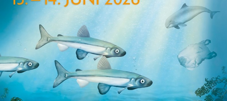 Plakat zum Langen Tag der StadtNatur // &copy; Loki Schmidt Stiftung