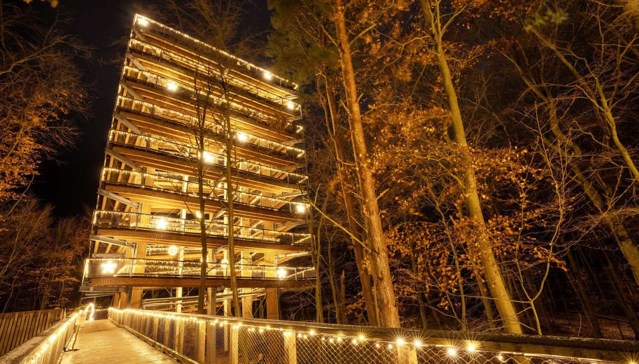 Lichterzauber, © Erlebnis Akademie AG/Baumwipfelpfad Usedom Lichterzauber, © Erlebnis Akademie AG/Baumwipfelpfad Usedom