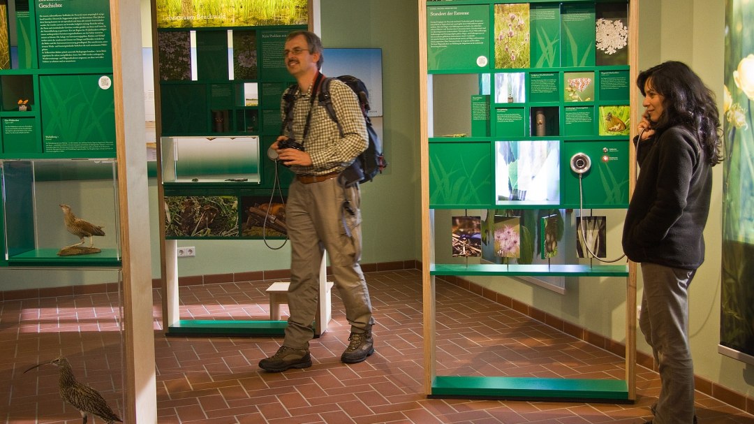 Tentoonstelling over verschillende habitattypes in het natuurpark in het bezoekersinformatiecentrum, &copy; U.Steinh&auml;user