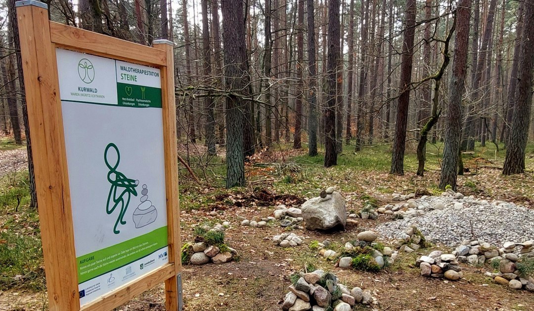 Kurwald 2 quer, © Waren (Müritz) Kur- und Tourismus GmbH