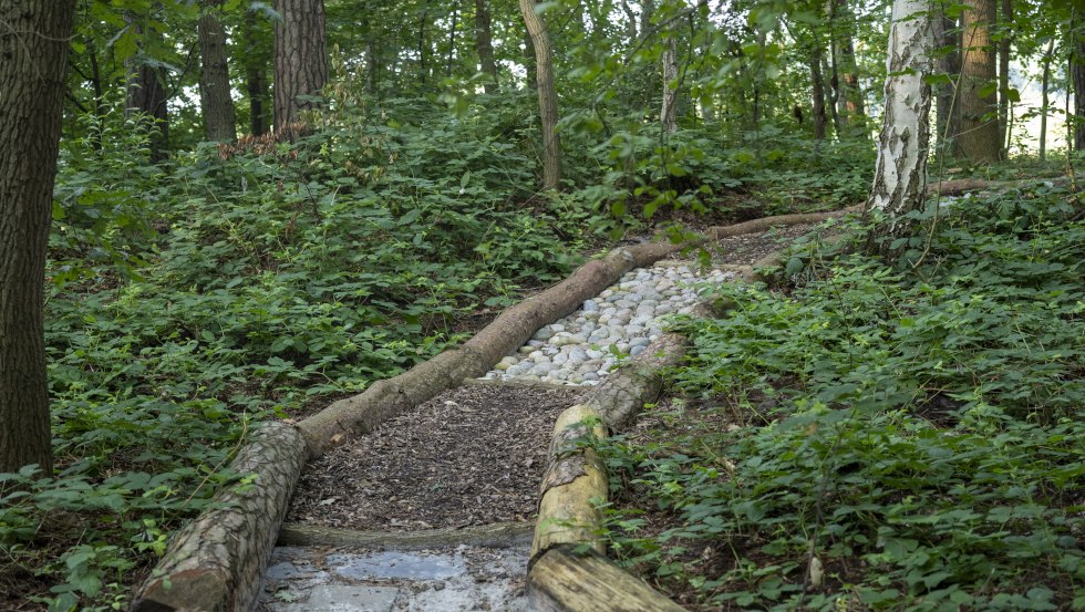 Barfußpfad in Boltenhagen, © Till Werner Barfußpfad in Boltenhagen, © Till Werner