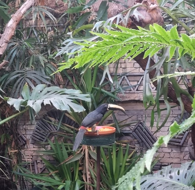 © Zoo Stralsund © Zoo Stralsund