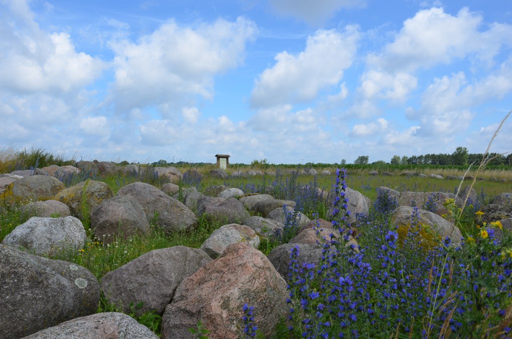 Grillige keientuin/ mammoet bij Carwitz, &copy; Kurverwaltung Feldberger Seenlandschaft
