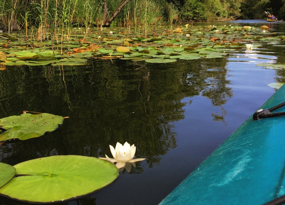 MüritzKanu, © TDG Rechlin mbH