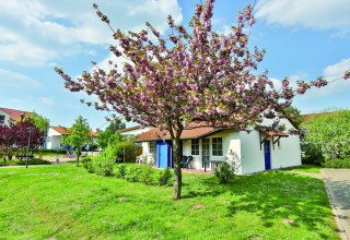 Ferienhaus im Familienferiendorf Rerik im Frühling // © AWO SANO gGmbH Ferienhaus im Familienferiendorf Rerik im Frühling // © AWO SANO gGmbH