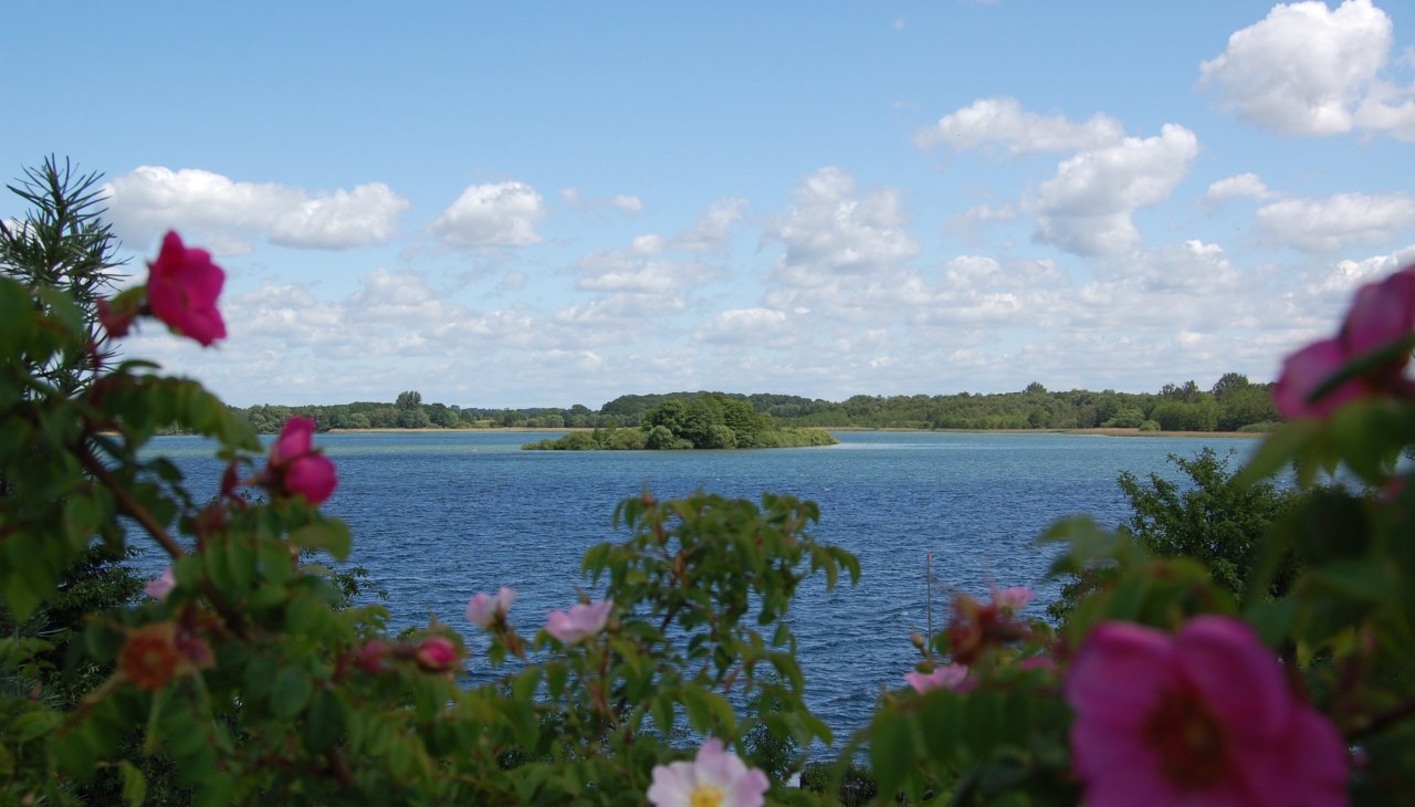 Blick vom Grundst&uuml;ck auf den Schaalsee mit der Insel M&ouml;wenburg., &copy; &copy; Susanne Hoffmeister