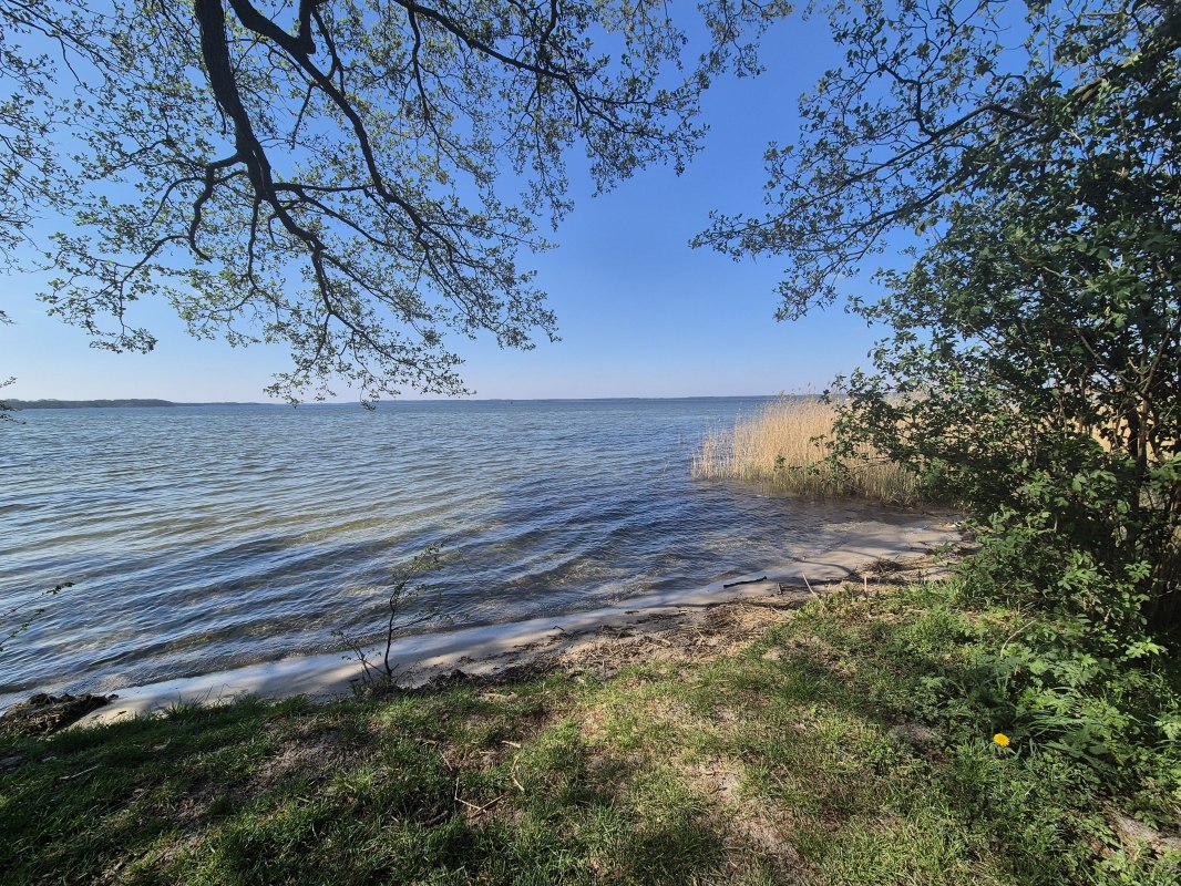 &copy; Gina Schulenberg