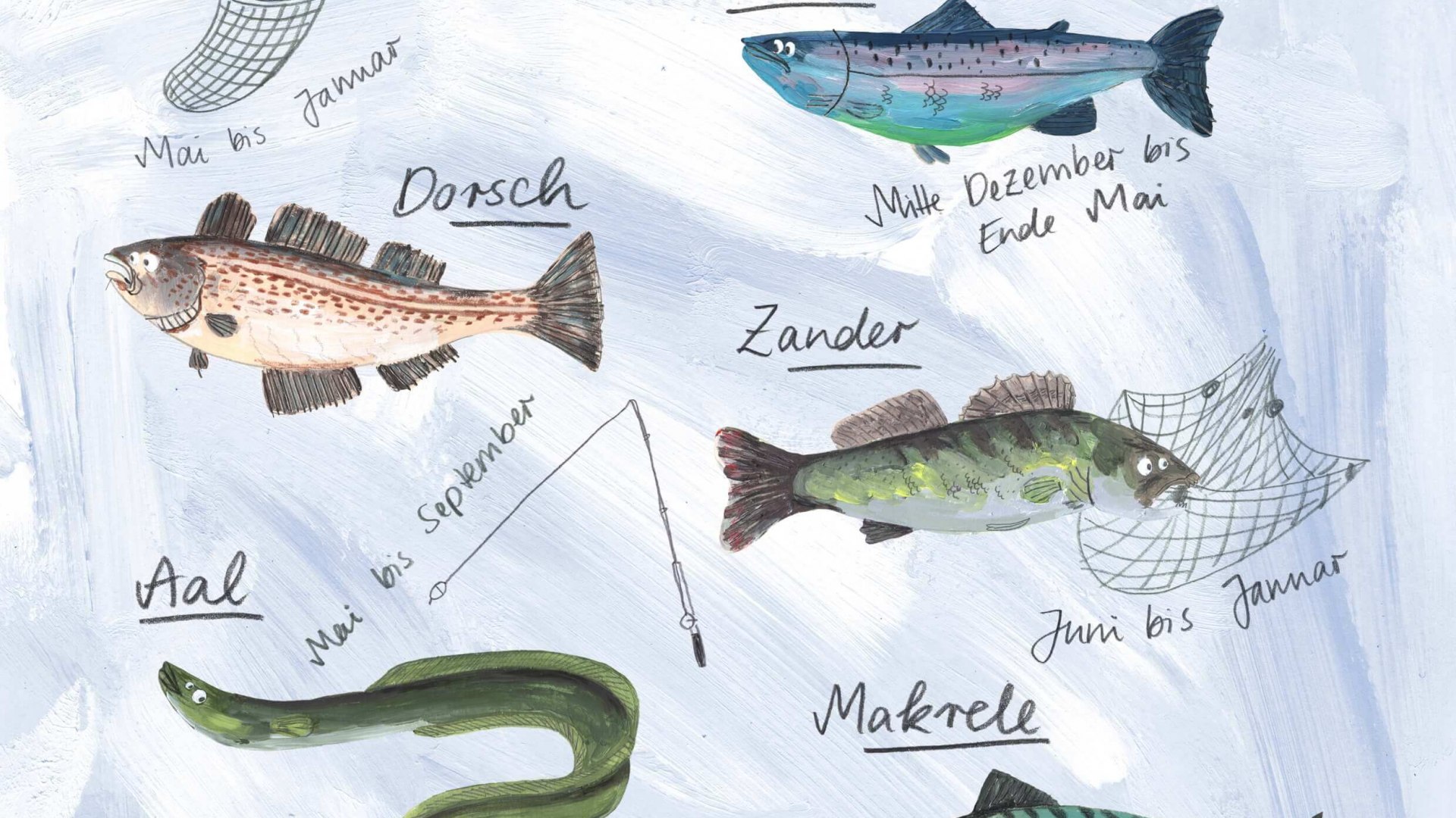 Der Saisonkalender fürs Angeln mit den Fischen und den passenden Zeiten im Jahr - Zander, Dorsch, Aal, Makrele. // Der Saisonkalender fürs Angeln mit den Fischen und den passenden Zeiten im Jahr. // © MV-T/Jana Kreisl Der Saisonkalender fürs Angeln mit den Fischen und den passenden Zeiten im Jahr - Zander, Dorsch, Aal, Makrele.