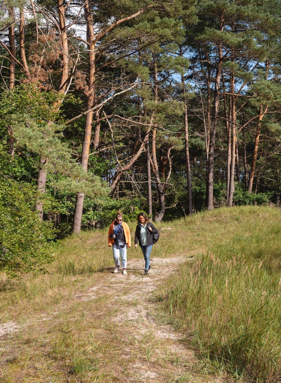 Mindful boswandelingen hebben een lange traditie in Japan. Het kustbos bij Zinnowitz is de perfecte plek om bewust op te gaan in de natuur. // &copy; MV-T/Gross
