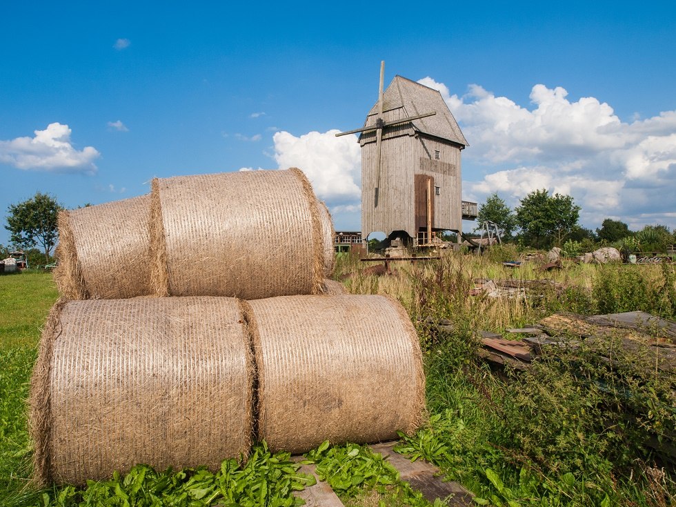 Windmühle mit Strohrollen im Vordergrund. // © Frank Burger Windmühle mit Strohrollen im Vordergrund. // © Frank Burger