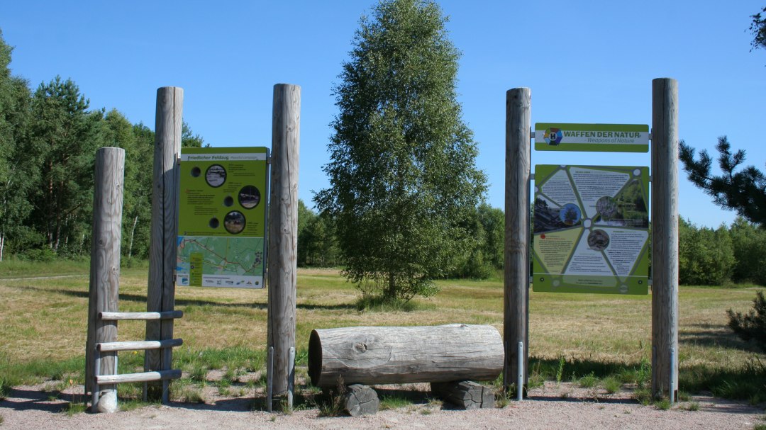 Entdeckerpfad Biologische Vielfalt in der Rostocker Heide, © Stadtforstamt Rostock/K. Kuhr Entdeckerpfad Biologische Vielfalt in der Rostocker Heide, © Stadtforstamt Rostock/K. Kuhr