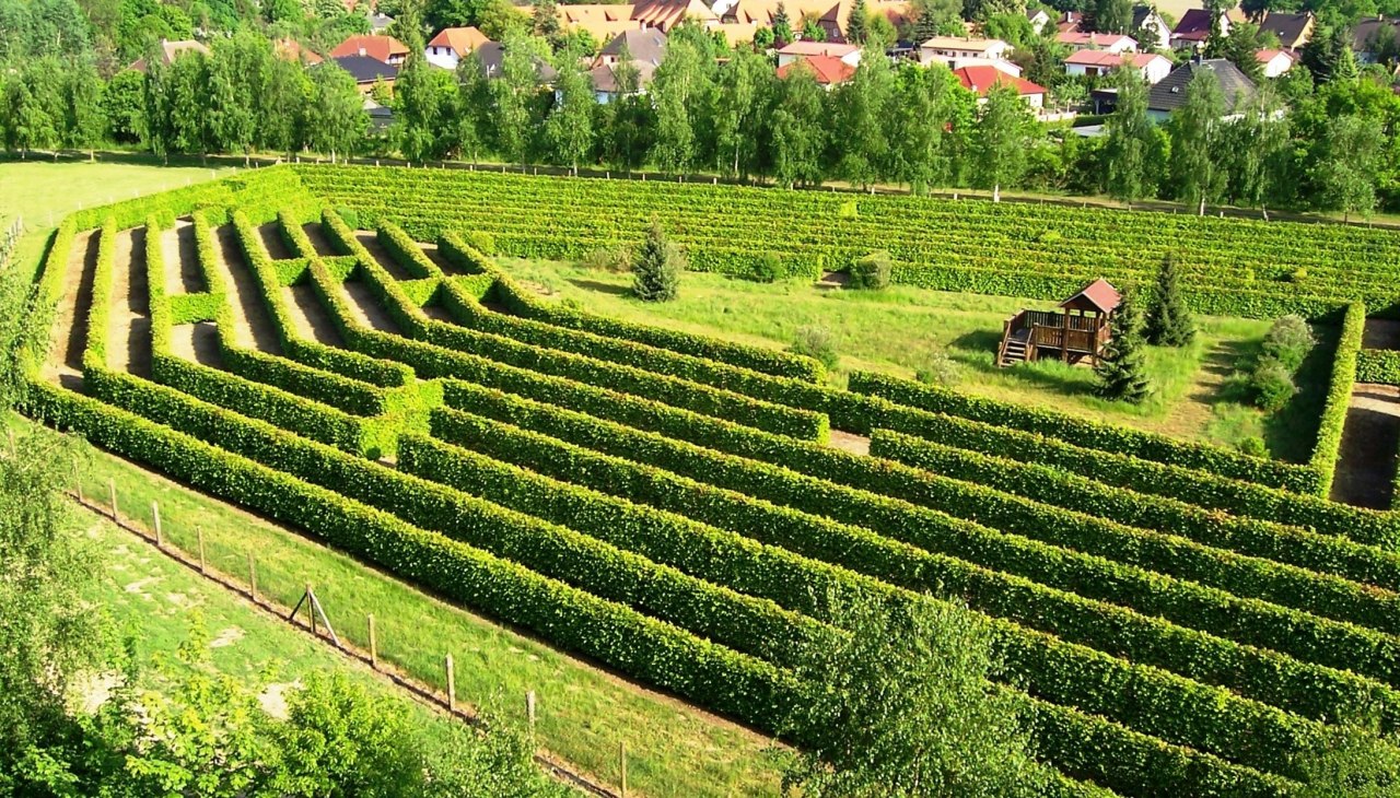Doolhof op het Waldeck in Dargun, &copy; Stadt Dargun