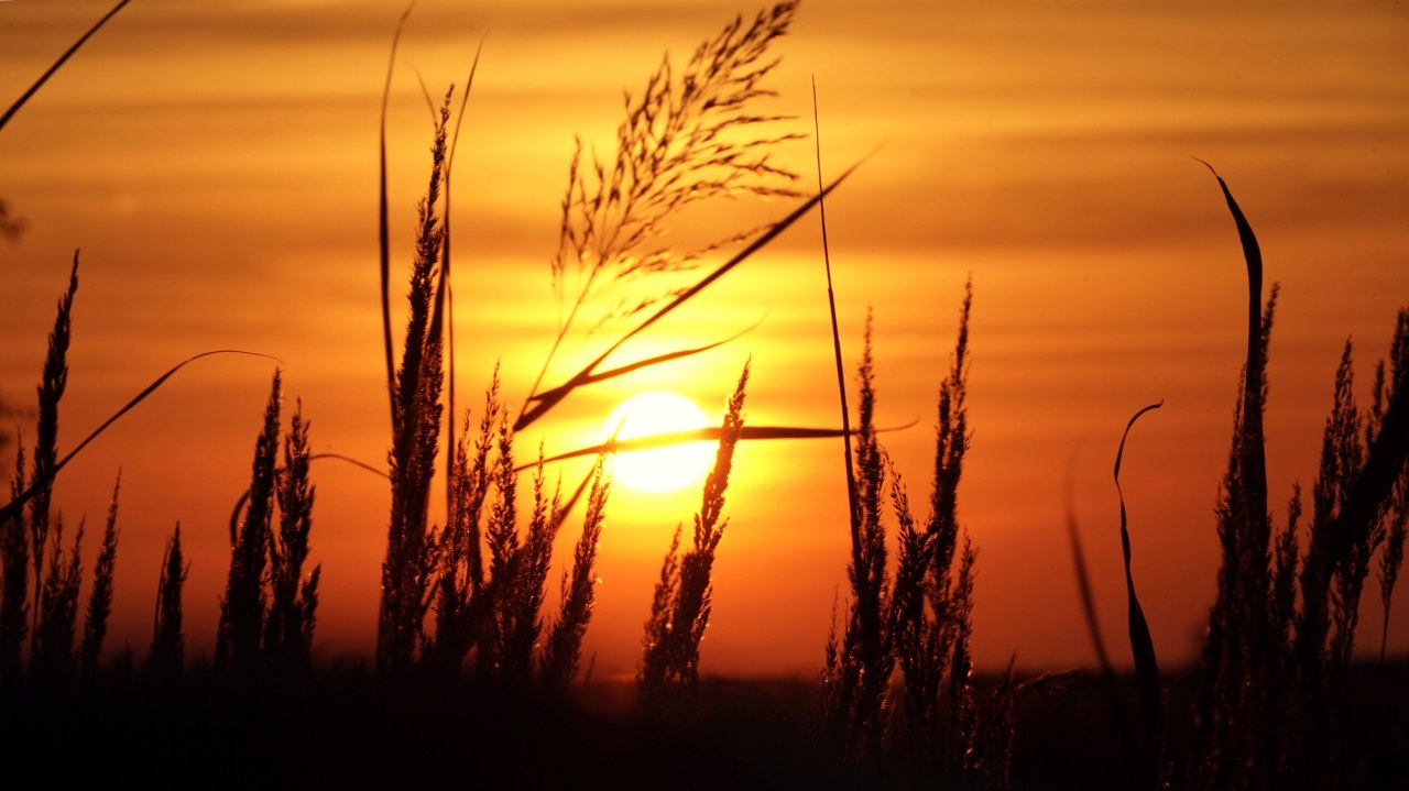 © Nico Offermann © Nico Offermann