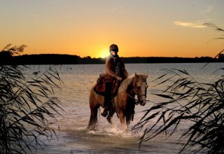 Mit dem Fennhof im äußersten nordosten Deutschlands das Abenteuer reiten hautnah und intensiv erleben // © Fennhof/ Hafermalz Mit dem Fennhof im äußersten nordosten Deutschlands das Abenteuer reiten hautnah und intensiv erleben // © Fennhof/ Hafermalz
