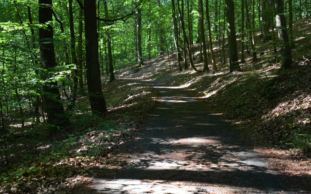 &copy; Kurverwaltung Feldberger Seenlandschaft