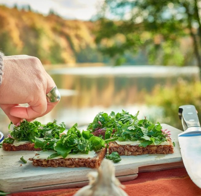 &copy; MV-T/Pocha.de