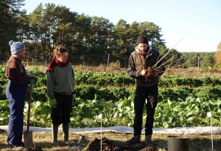 © Marcus Bartsch © Marcus Bartsch