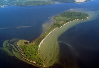 für die Insel Vilm typisch - knorrige Eiche // © Tourismuszentrale Rügen für die Insel Vilm typisch - knorrige Eiche // © Tourismuszentrale Rügen