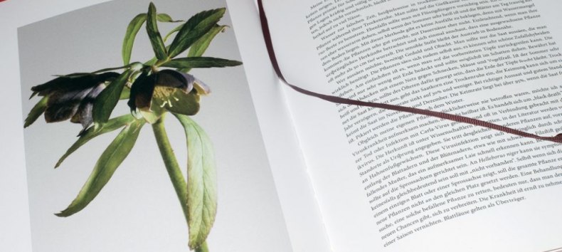 © Christine Becker © Christine Becker