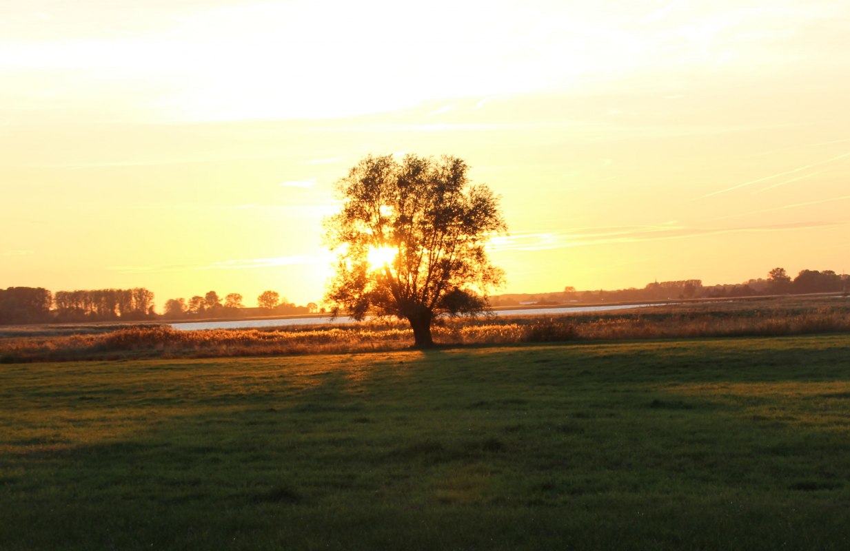 Wandelgroep - telescoop - natuur // &copy; Ines Wilke