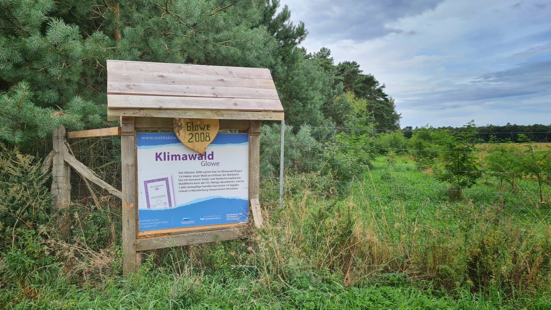 Klimawald Glowe Infotafel, &copy; Landesforst MV