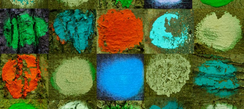 Fotomontage - 10x13,3 - GR&Uuml;N // &copy; Sigrid Henschel