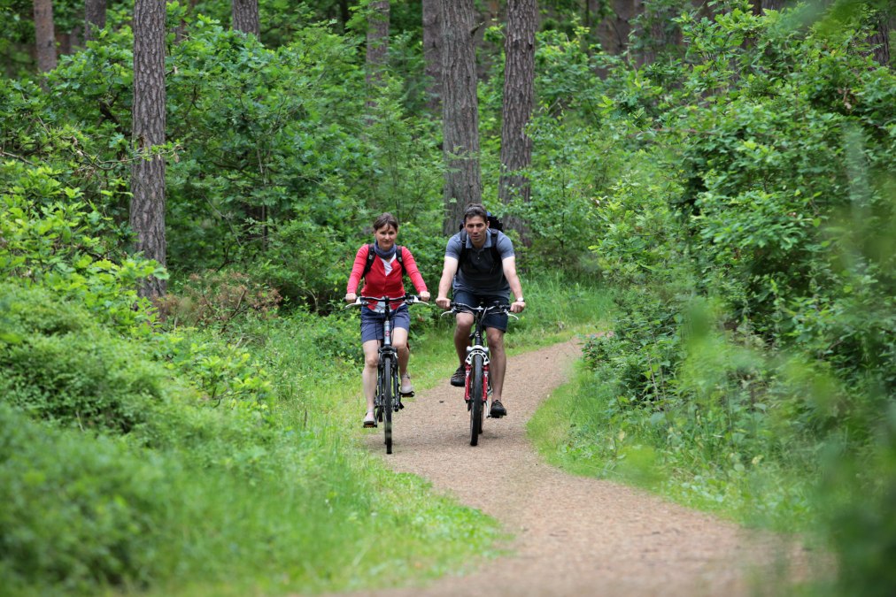 Baaber_Heide-&reg;KV Baabe, &copy; KV Baabe