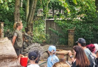Kommentierte Stachelschweinf&uuml;tterung im Zoo Stralsund // &copy; Hansestadt Stralsund