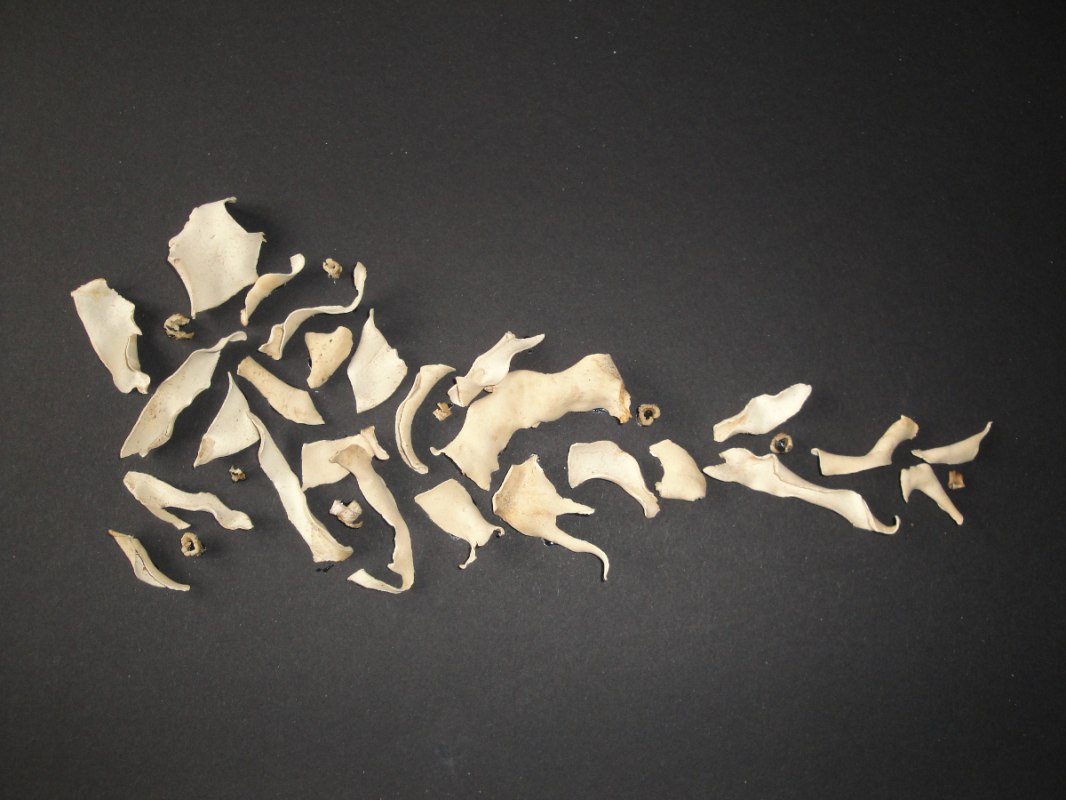 © Ulrike von Laar © Ulrike von Laar