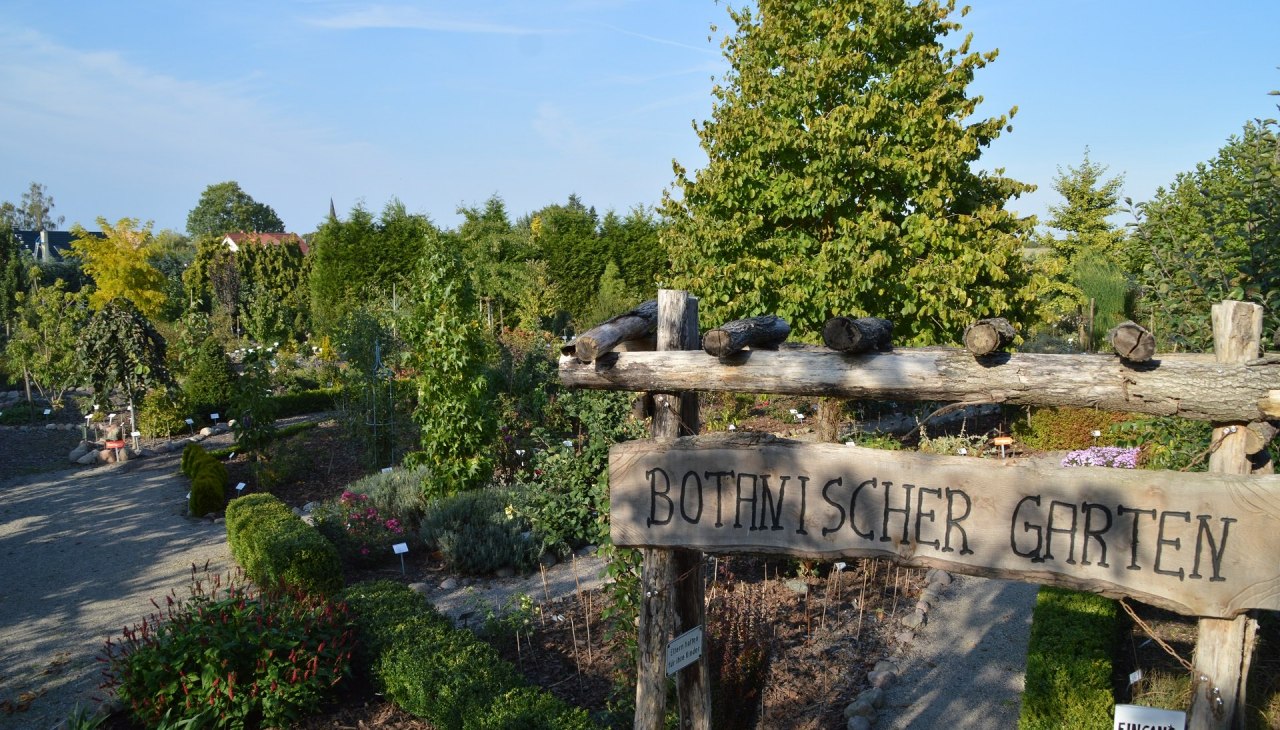 Eingangstor mit Blick auf den vorderen Teil des Botanischen Gartens, © Kevin Hager (Baumschule Hager) Eingangstor mit Blick auf den vorderen Teil des Botanischen Gartens, © Kevin Hager (Baumschule Hager)