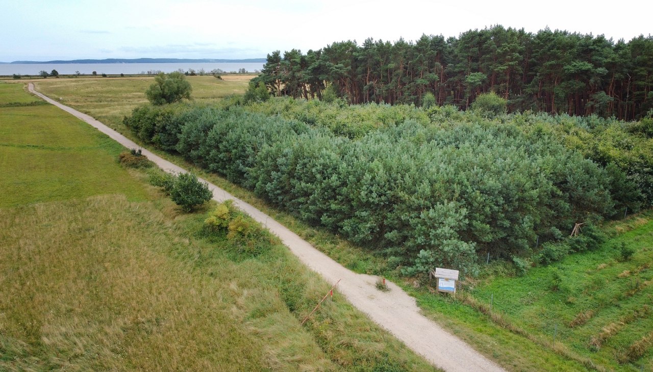 Klimawald Glowe Luftbild, © Landesforst MV Klimawald Glowe Luftbild, © Landesforst MV