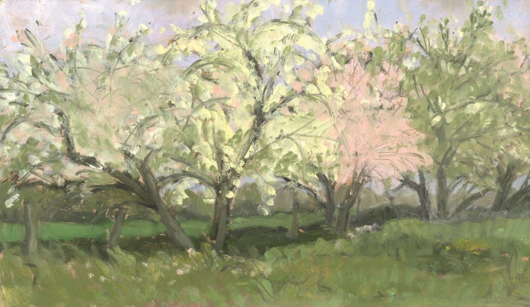 Apfelbluete, © Irene Sohler