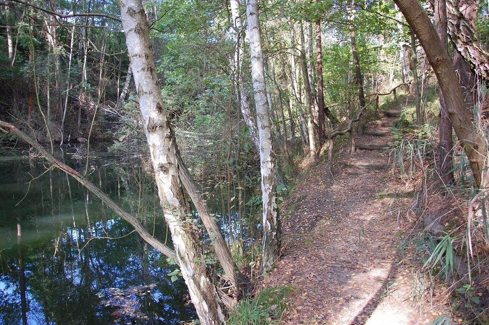 Ein etwa 1,2 Kilometer langer Rundweg führt um den kleinen See herum. // © Gabriele Skorupski Ein etwa 1,2 Kilometer langer Rundweg führt um den kleinen See herum. // © Gabriele Skorupski