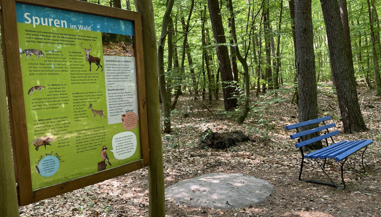 Wie heeft daar gelopen? We gaan op zoek naar aanwijzingen!, © TZ Südliche Boddenküste Wie heeft daar gelopen? We gaan op zoek naar aanwijzingen!, © TZ Südliche Boddenküste