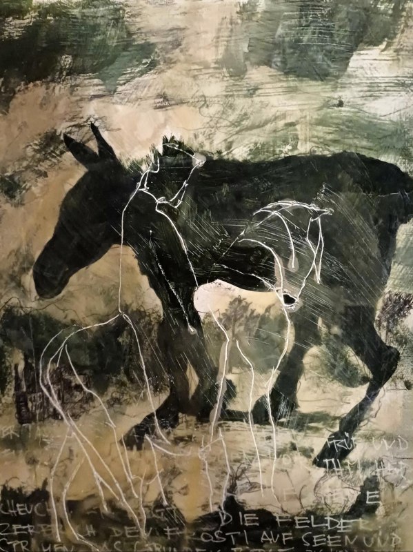 &copy; Sabine Dieker