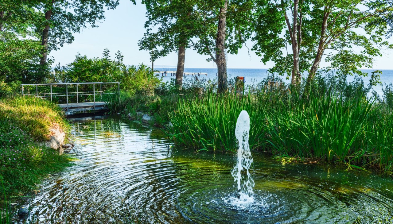 Der Kneippgarten im Ostseebad G&ouml;hren ist eine Oase der Ruhe., &copy; TMV/Tiemann