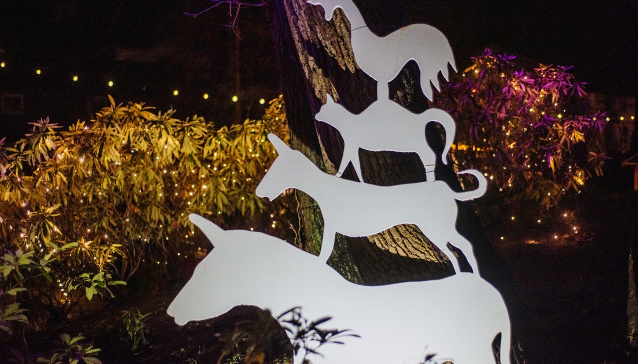 Binzer Weihnachtsmarkt »Engel, Licht & Meer«, © Binzer Bucht Tourismus Binzer Weihnachtsmarkt »Engel, Licht & Meer«, © Binzer Bucht Tourismus