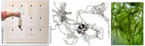 &copy; (c) Karen Kunkel, Anke vom Sund, Christine Lengtat