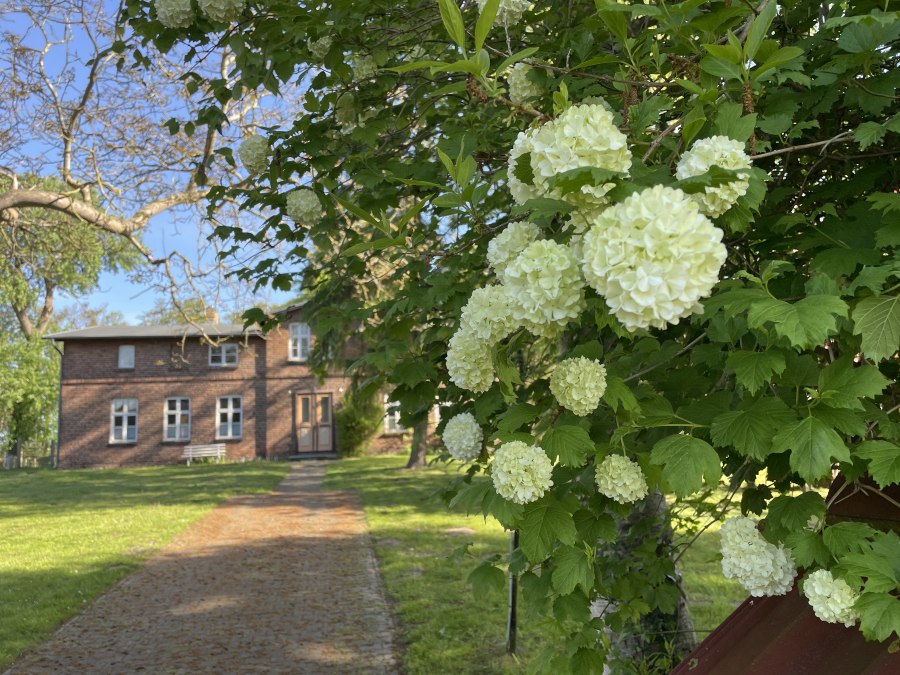 Pfarrhaus, &copy; TZ S&uuml;dliche Boddenk&uuml;ste