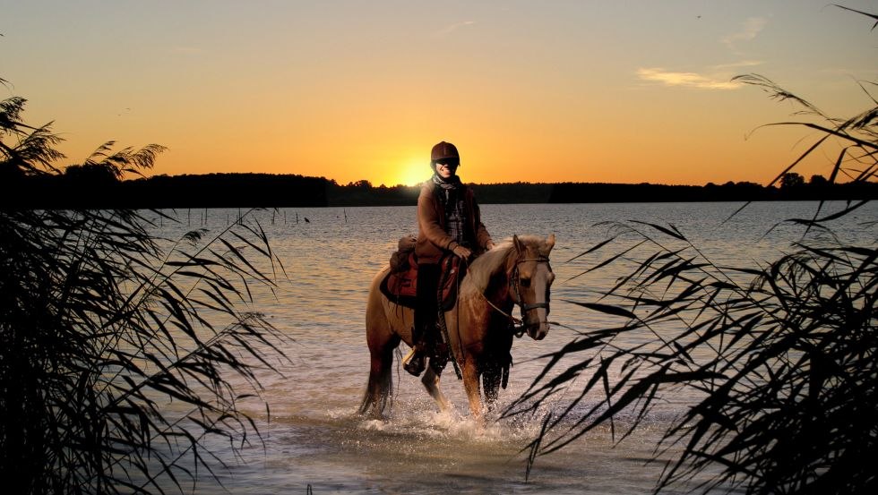 Mit dem Fennhof im äußersten nordosten Deutschlands das Abenteuer reiten hautnah und intensiv erleben // © Fennhof/ Hafermalz Mit dem Fennhof im äußersten nordosten Deutschlands das Abenteuer reiten hautnah und intensiv erleben // © Fennhof/ Hafermalz