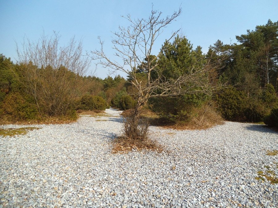 Feuersteinfelder in Prora, © Tourismuszentrale Rügen