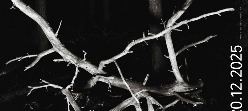 © ©Caspar-David-Friedrich-Gesellschaft e. V.